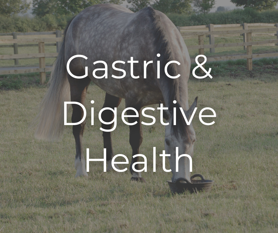 Gastric & Digestive Health