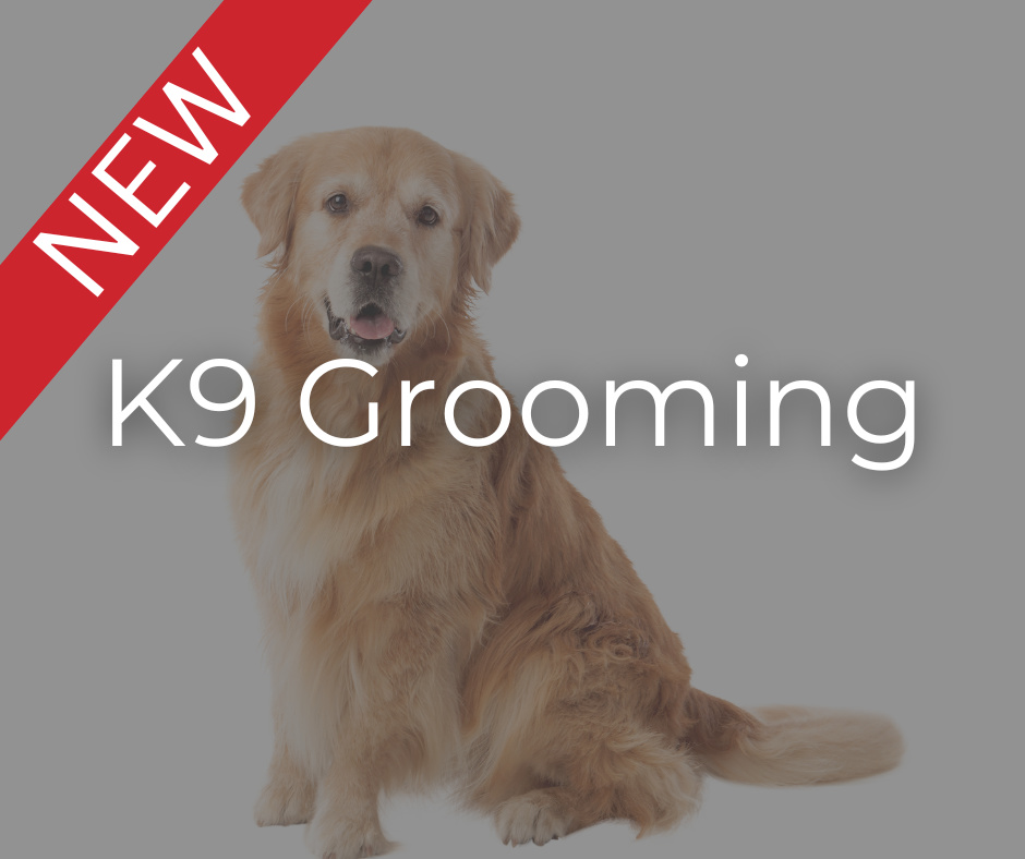 K9 Grooming