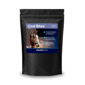 Cool Bites™ Mint