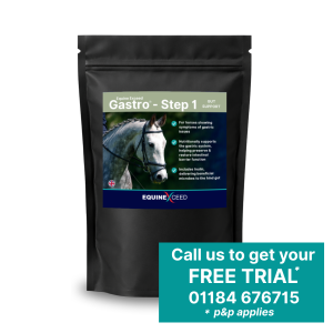 Gastro™ - Step 1