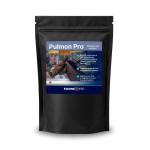 Pulmon PRO™